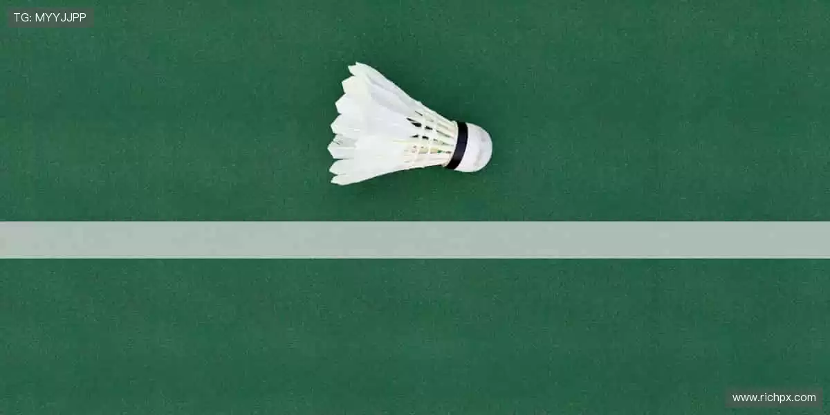 球迷专属,把热爱穿在身上!👕💪